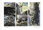 Garden Experiments #1 - 2014 - Digital Image - A-4 size