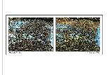 Down By The River - 2014 - Digital Image - A-4 size