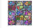 Fabric Design #2 (ovals) - 2015 - Digital Image - A-4 size