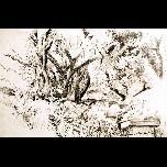 Drawings from 1990-99